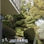  Annonces TLYON : Apartment | CALUIRE-ET-CUIRE (69300) | 92 m2 | 516 850 € 